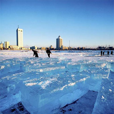 哈爾濱采冰團隊